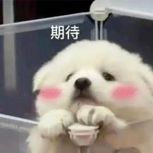 图片82.png