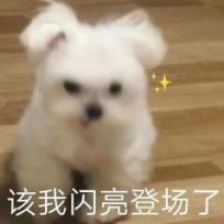 图片81.png